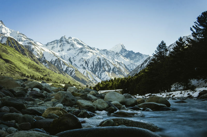 The Baspa river running over boulders near Chitkul, with pine forest and snow peaks behind