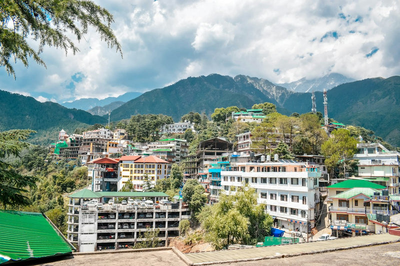 Hotels and houses of McLeod Ganj on a forested ridge with mountains behind
