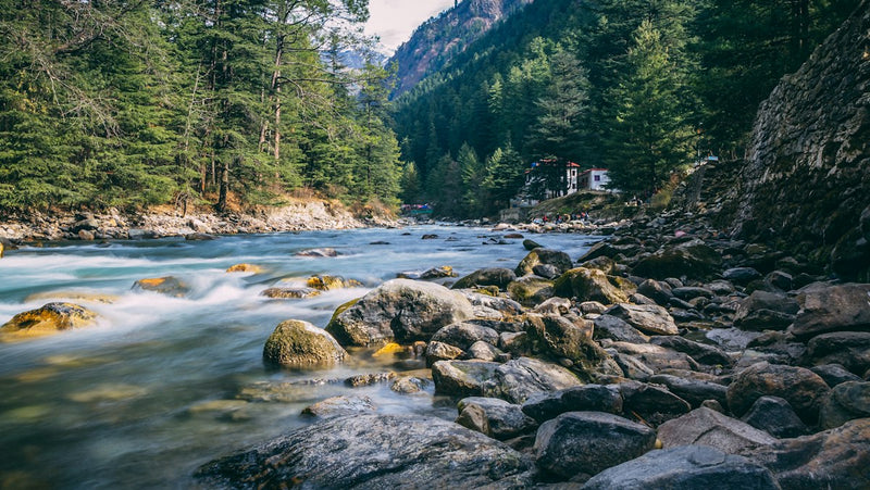 The Parvati river running over boulders through pine forest near Kasol
