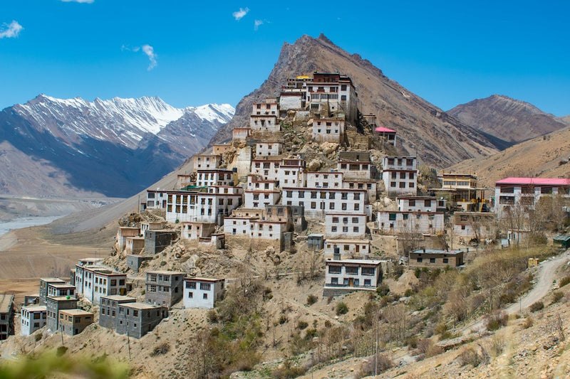 Key Monastery, white buildings stacked up a hill above the Spiti valley