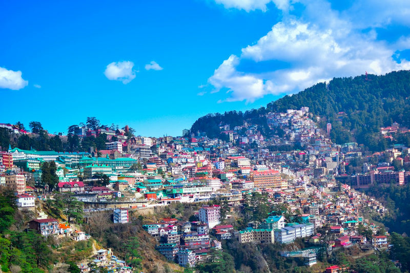 Shimla's houses stacked up a forested hillside under a blue sky